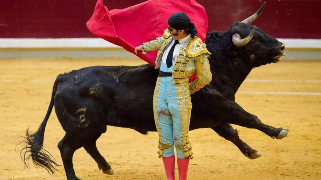 Juan Jos&eacute; Padilla, en Logro&ntilde;o la pasada semana - Efe