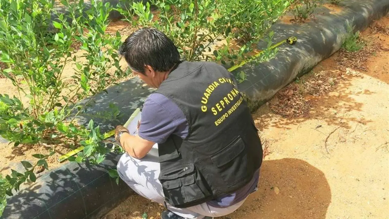 Guardia Civil. - VH