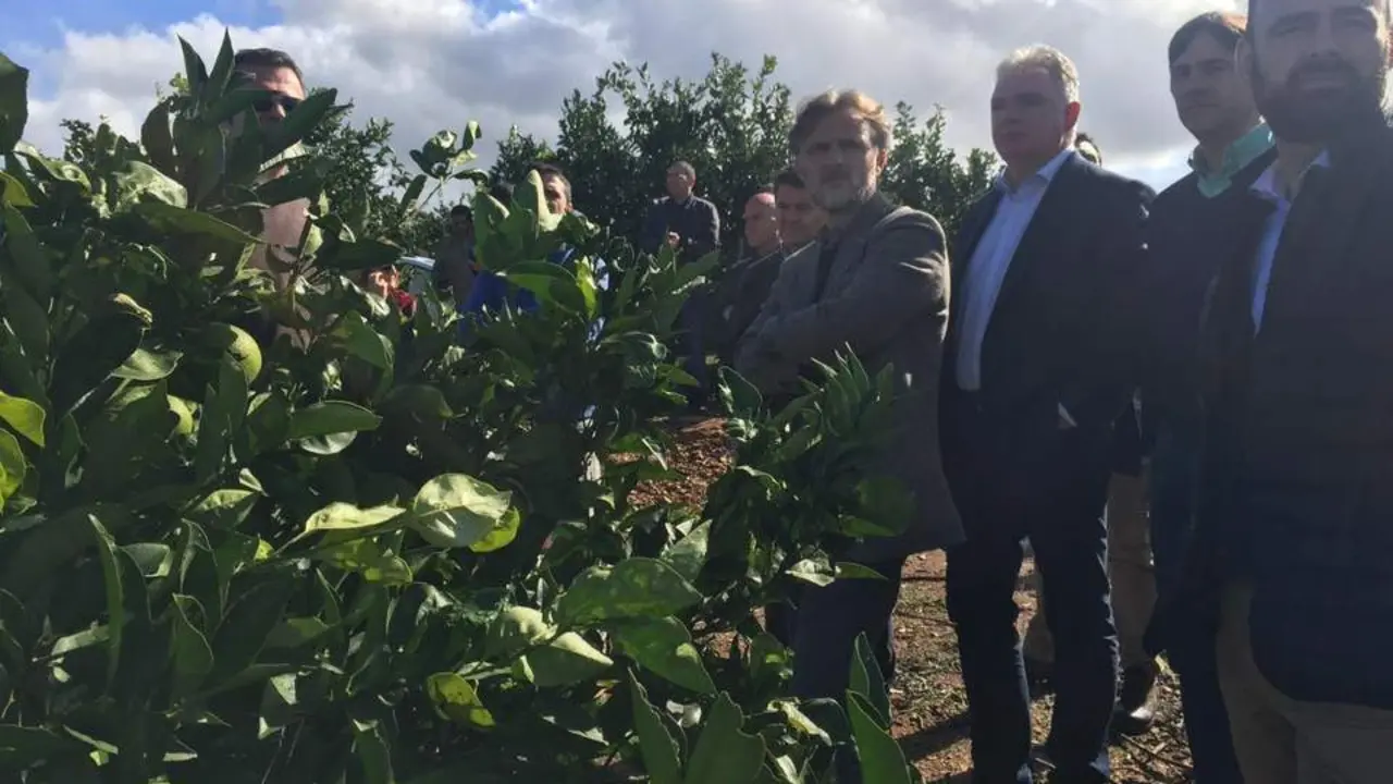Fincas agr&iacute;colas de la provincia de Huelva. - VH