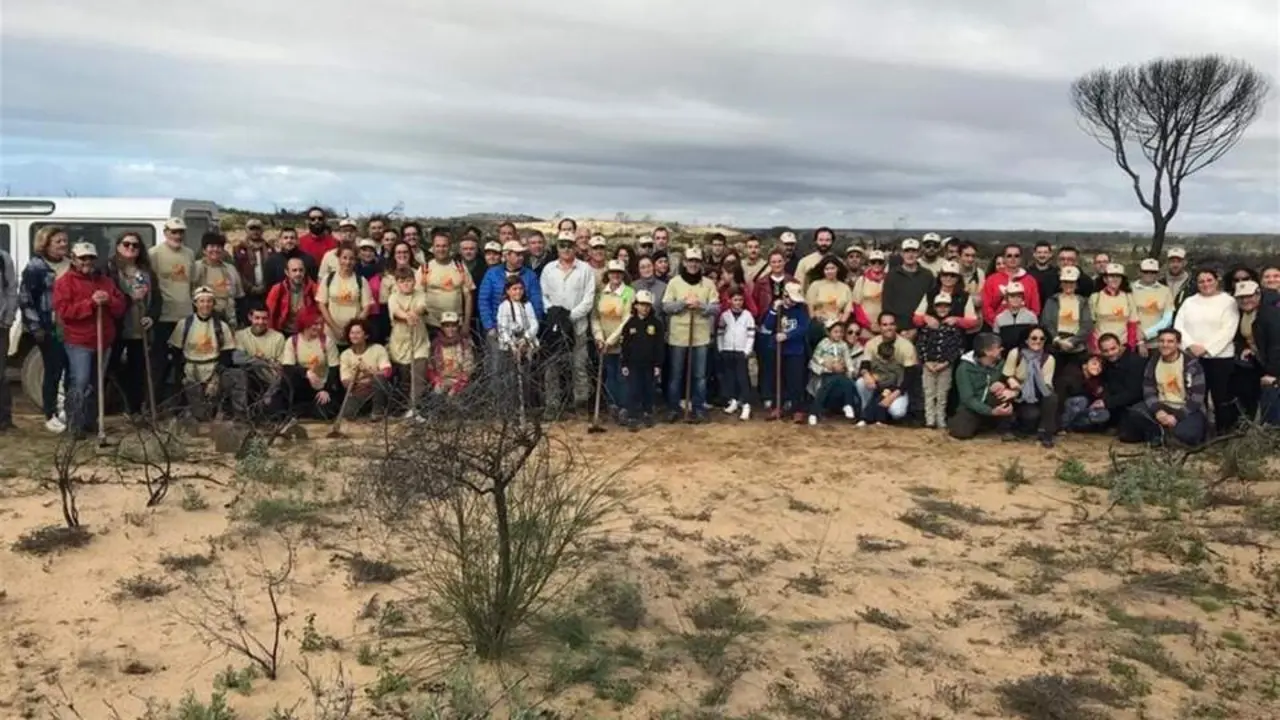 Reforestaci&oacute;n en Do&ntilde;ana. - VH