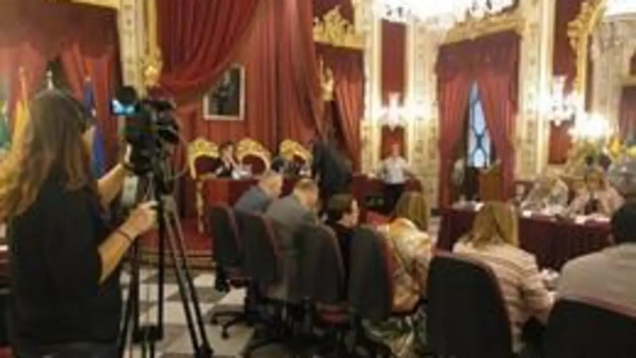 Pleno de Diputaci&oacute;n. - Viva