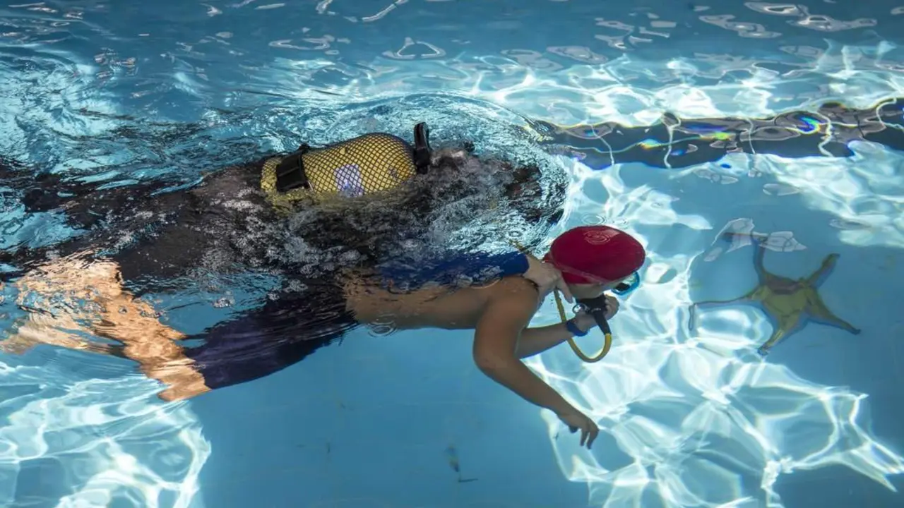 Bel&eacute;n subacu&aacute;tico en la piscina del Polideportivo Municipal Andr&eacute;s Estrada. - VH