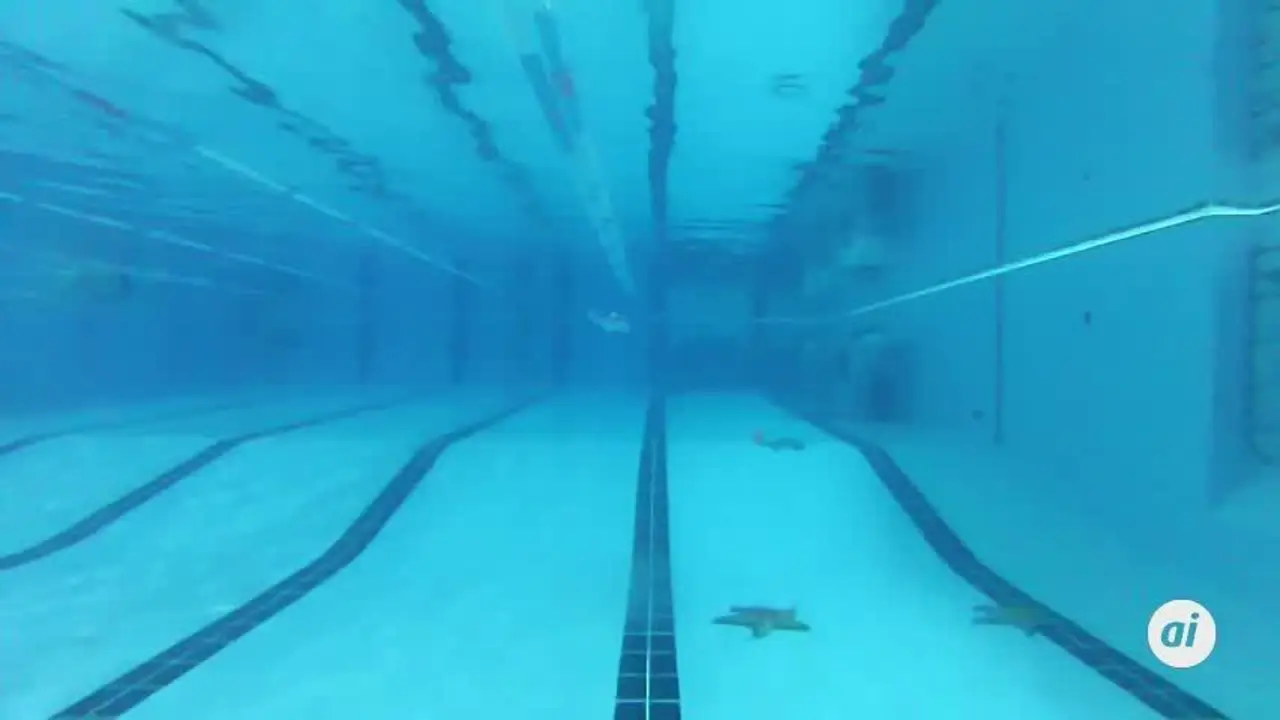 Miles de ni&ntilde;os disfrutan en Huelva de un bel&eacute;n dentro de una piscina