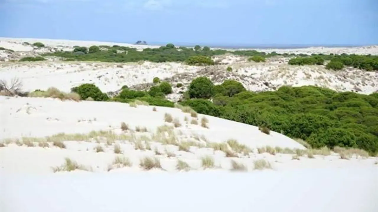 Do&ntilde;ana. - VH
