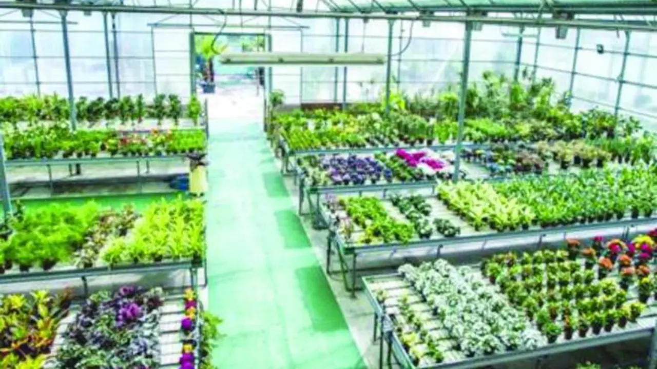 Dos de las plazas son para el Vivero de Torremolinos. - ROHU