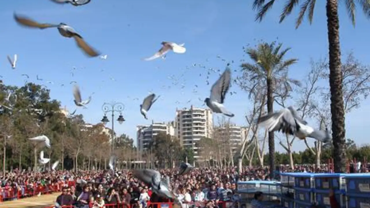 El Parque Gonz&aacute;lez Hontoria acoge esta celebraci&oacute;n cada a&ntilde;o. - Viva Jerez