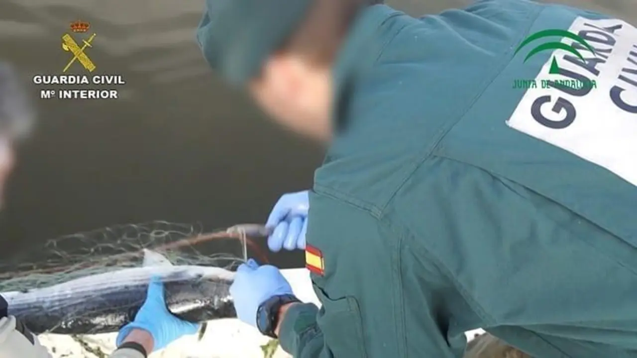 Pesca furtiva. - VH