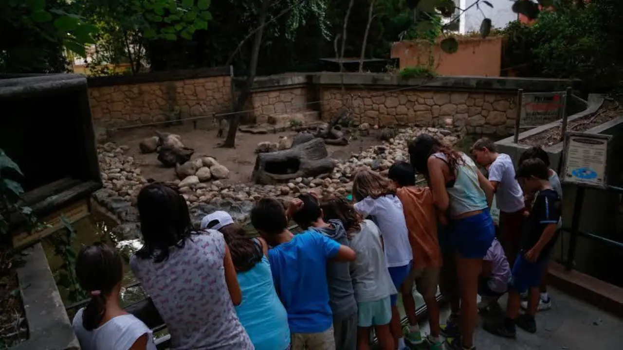Los m&aacute;s peque&ntilde;os en el Zoo.  - Cristo Garc&iacute;a 