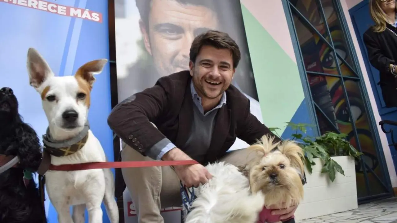 Beltr&aacute;n P&eacute;rez presenta su campa&ntilde;a Sevilla, amiga de los animales. - PP