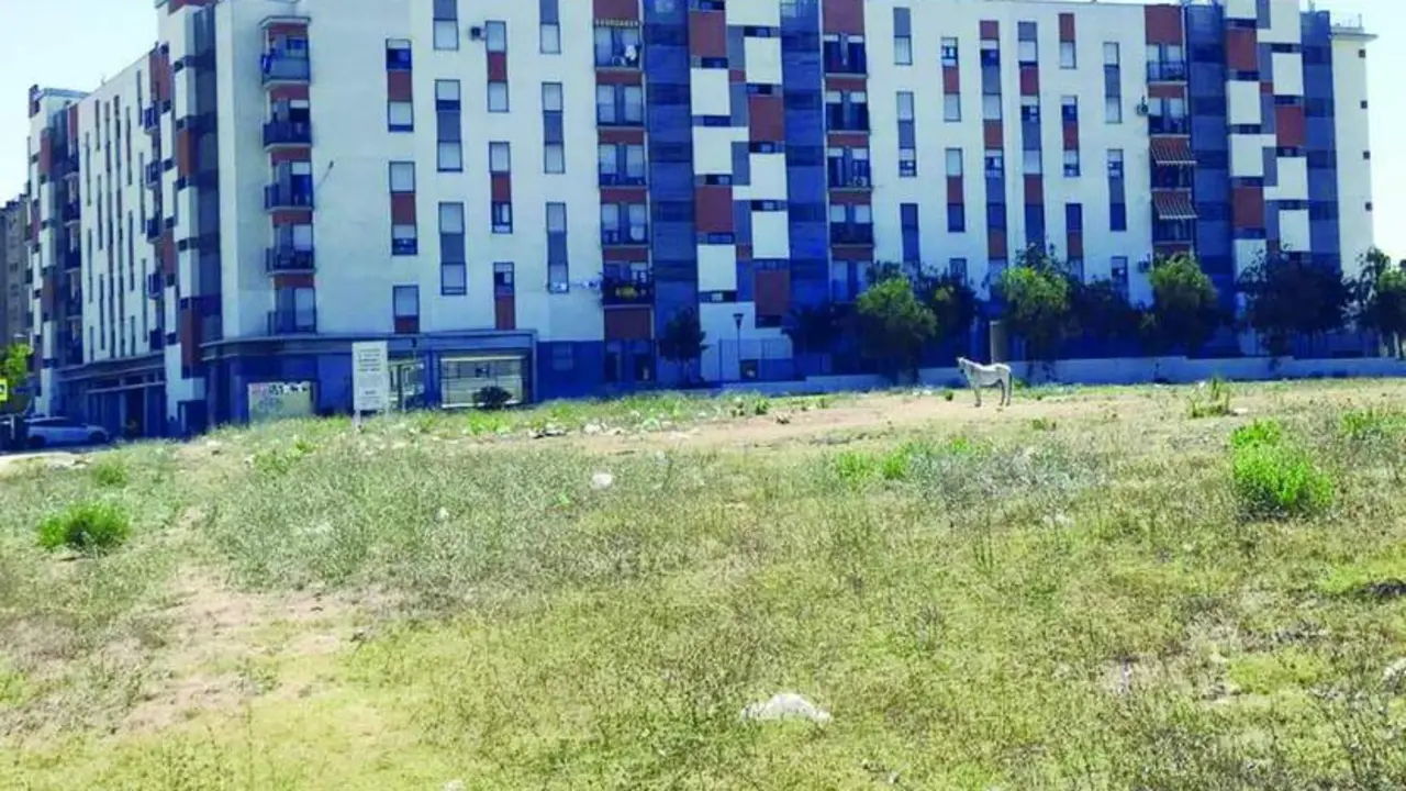 Los nuevos bloques de viviendas de Cerrofruto - Viva