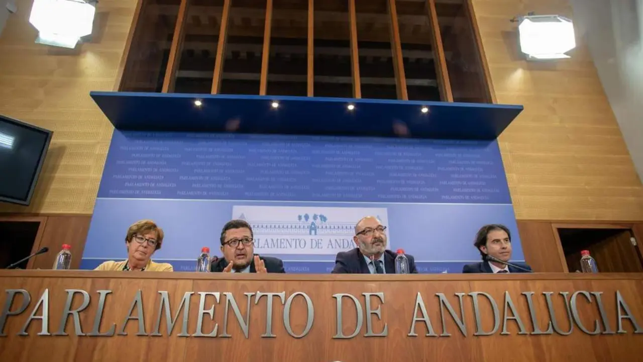 Los responsables de Vox comparecen en el Parlamento. - E. P.