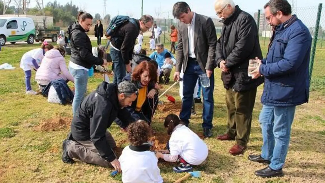 La primera plantaci&oacute;n. - 