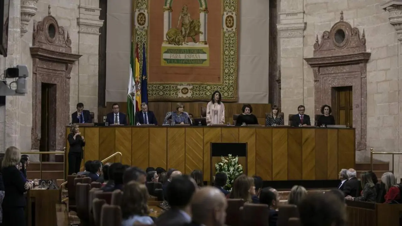 El Parlamento pone en marcha la segunda comisi&oacute;n de investigaci&oacute;n sobre la Faffe. - E. P.