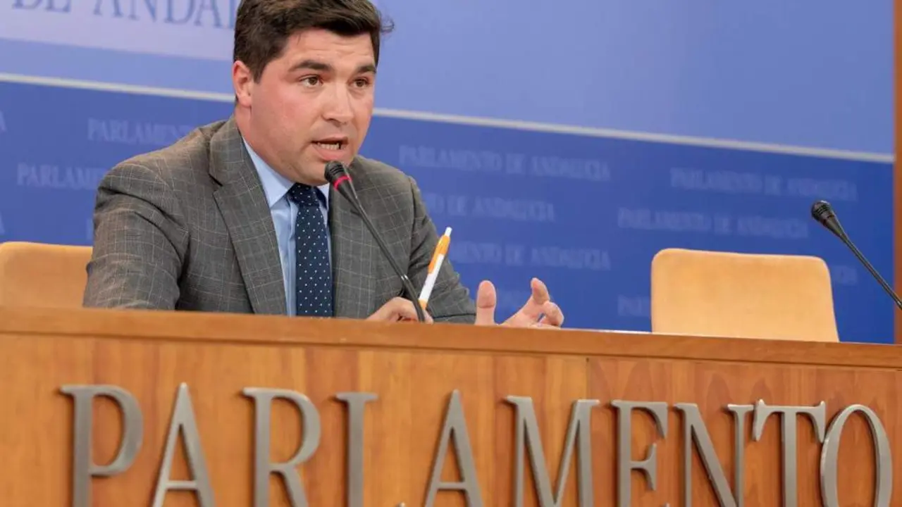 Enrique Moreno, de Cs, asegura que asume el cargo &ldquo;con mucho honor y responsabilidad&rdquo;.. - Julio Mu&ntilde;oz/EFE