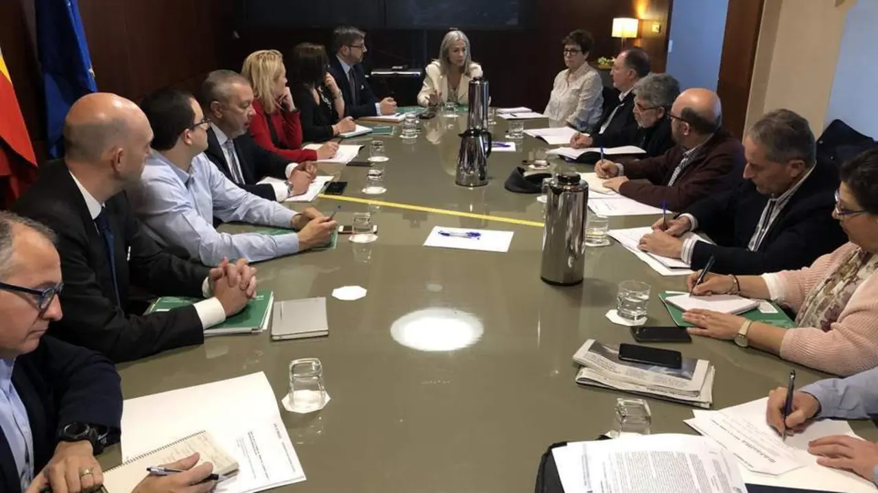 La consejera Patricia del Pozo, en la reuni&oacute;n del Consejo de Memoria Hist&oacute;rica. - Junta
