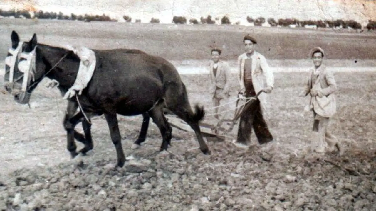 Cristobal Garc&iacute;a, arando en lo alto del Camino Majadahonda, a&ntilde;o 1950. Wikipedia. - http://www.flickr.com/photos/36083133@N03 Malojavio