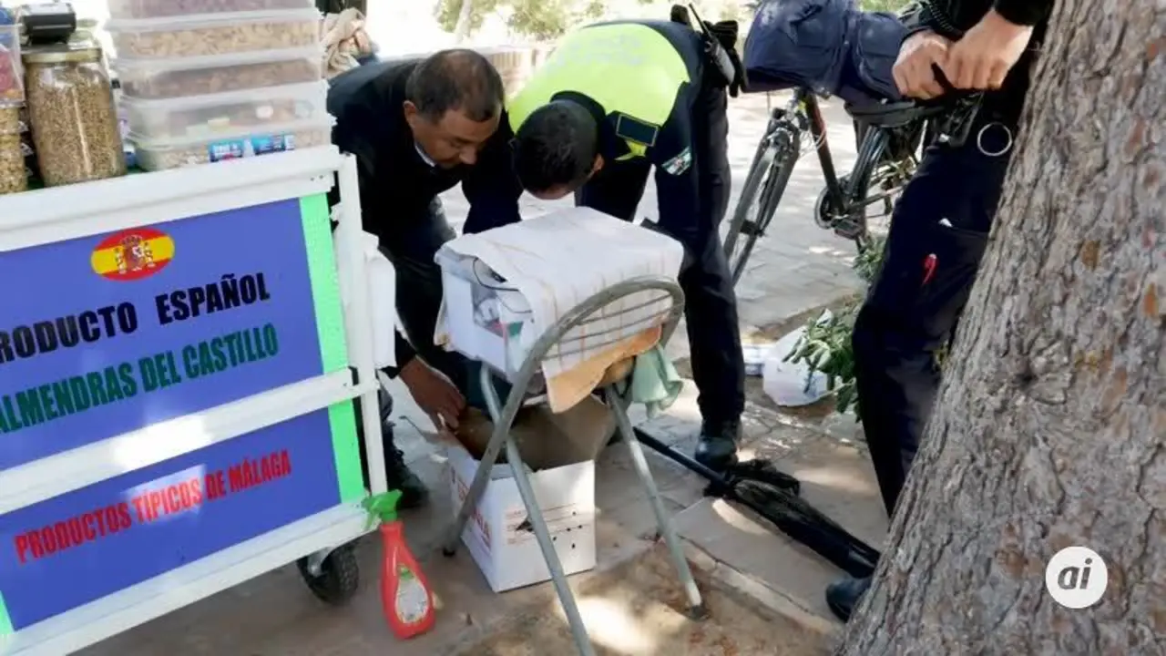 Recuperan y trasladan al Zoosanitario de M&aacute;laga a una ardilla herida