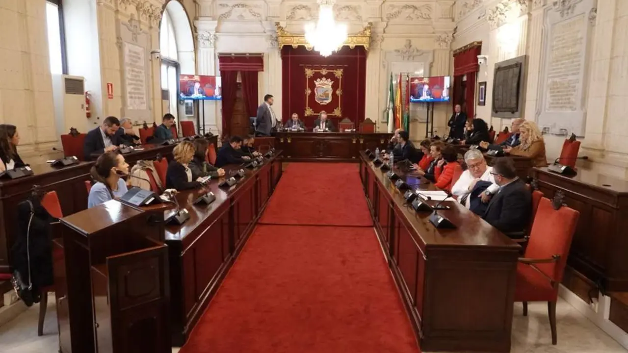 sesi&oacute;n plenaria extraordinaria. - vm
