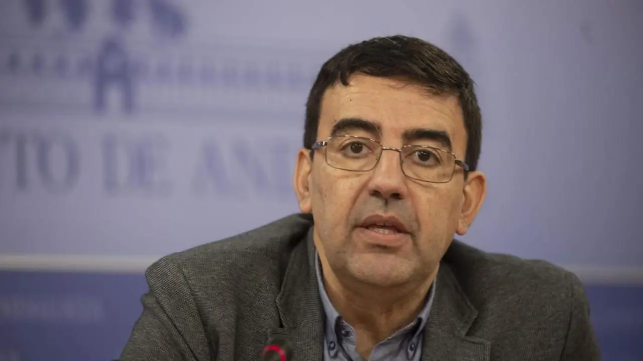 Mario Jim&eacute;nez, portavoz parlamentario del PSOE. - E. P.