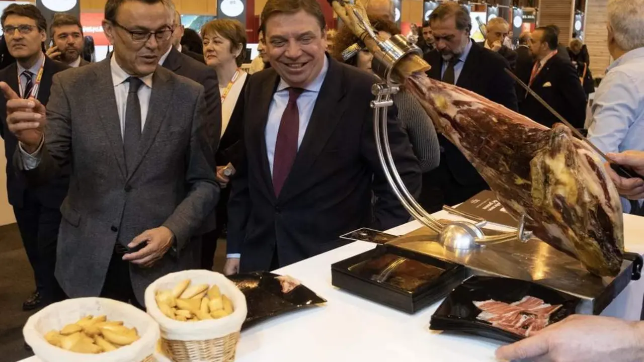 Sal&oacute;n Gourmets. - VH