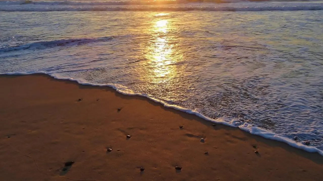 Orilla de la playa. - AI