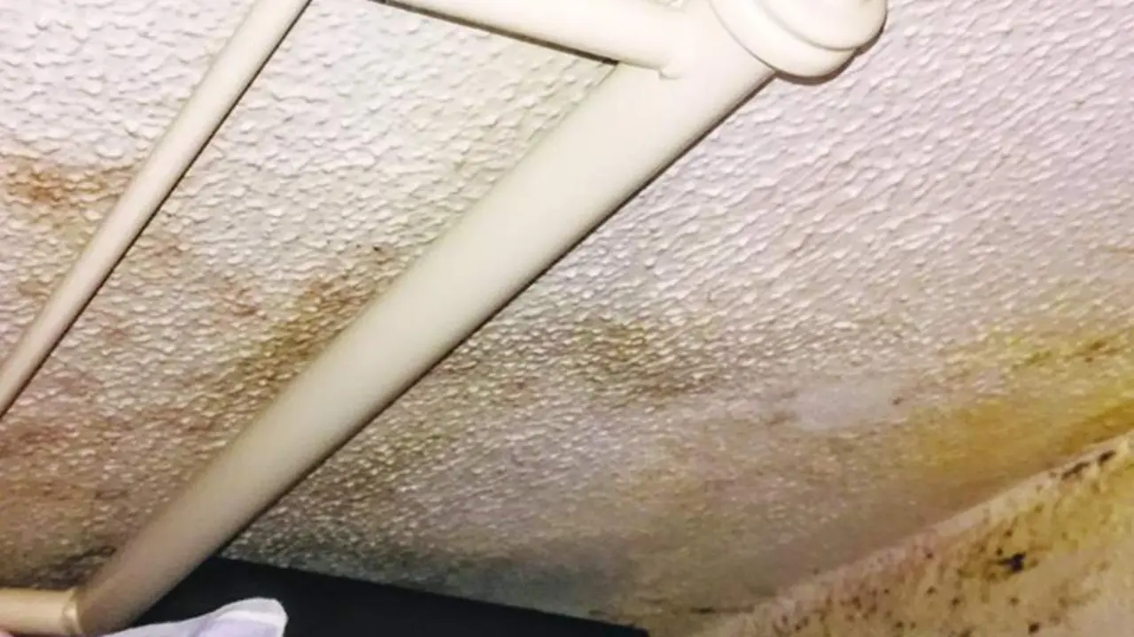 Humedades en la vivienda. - Viva