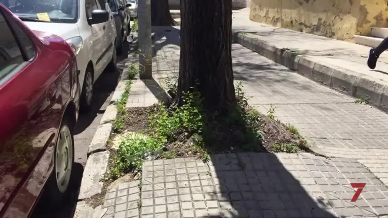 Reclaman mejoras en el acerado de la calle Girasol de Loreto