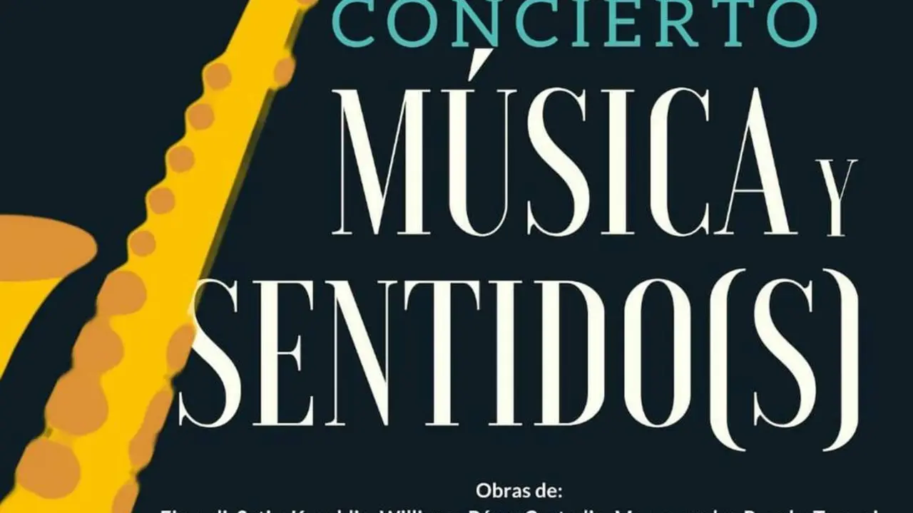 'M&uacute;sica y Sentidos (s)'. - VH