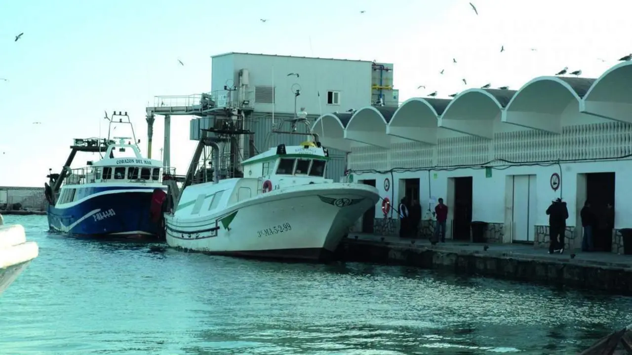 Puerto de Caleta de V&eacute;lez - Viva M&aacute;laga