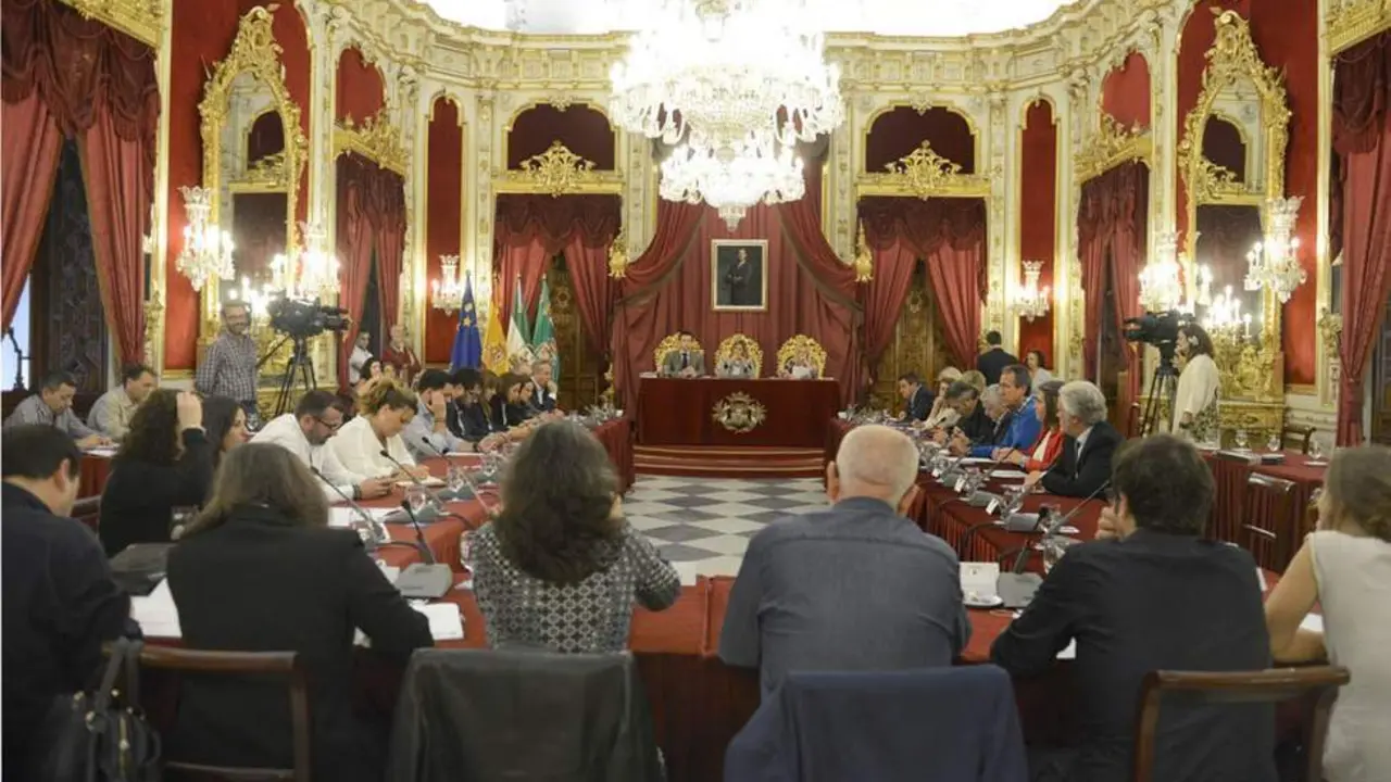 Pleno Diputaci&oacute;n C&aacute;diz - Carmen Romero