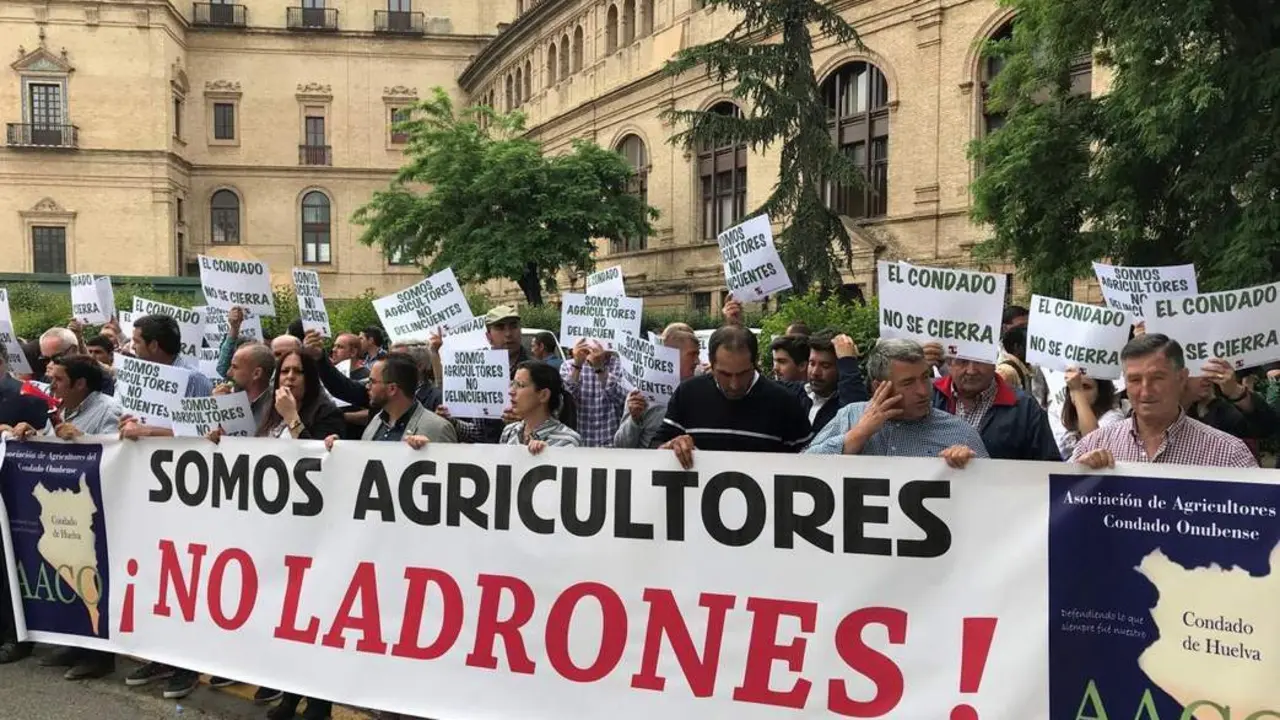 Concentraci&oacute;n de los agricultores del Condado de Huelva en Sevilla. - EFE