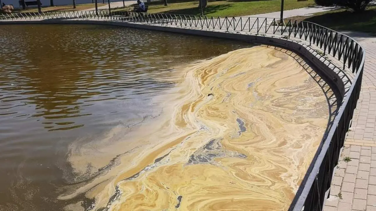 Estado actual del lago del parque de Huelin. - @salvemoslaplayadesanandres