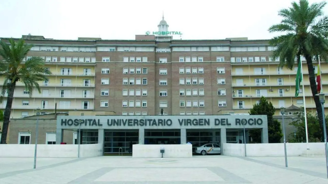 Virgen del Roc&iacute;o. - Archivo