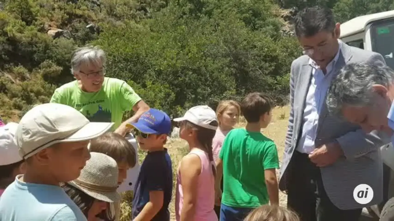 Devuelven a la naturaleza un zorro y un cern&iacute;calo del CREA de M&aacute;laga