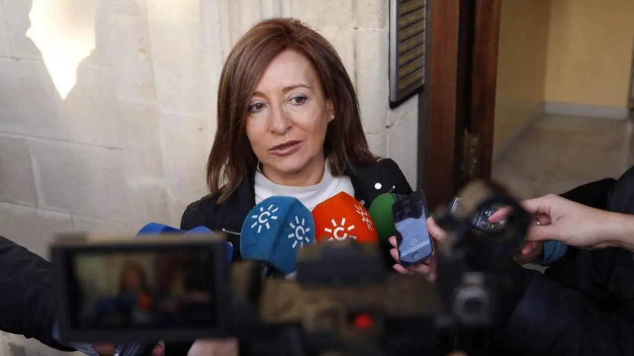 Pilar S&aacute;nchez ha declarado este jueves en la Audiencia Nacional - Cristo Garc&iacute;a