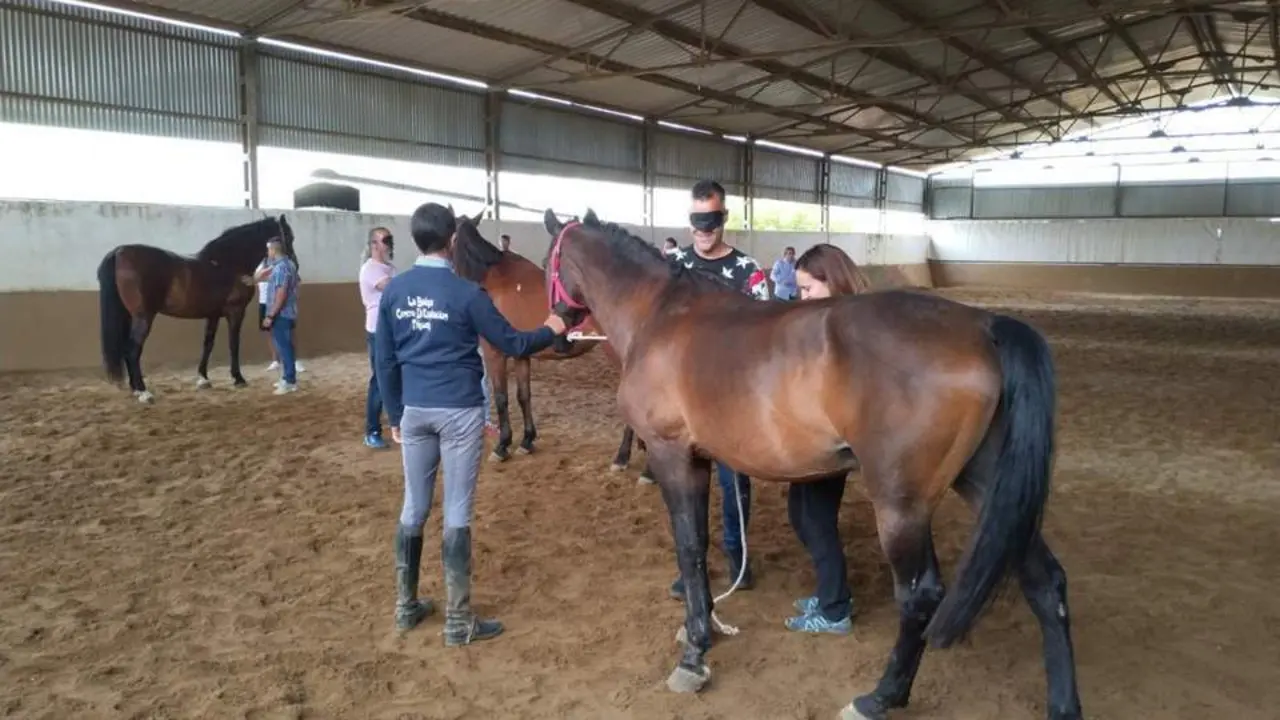 Coaching con caballos. - VH