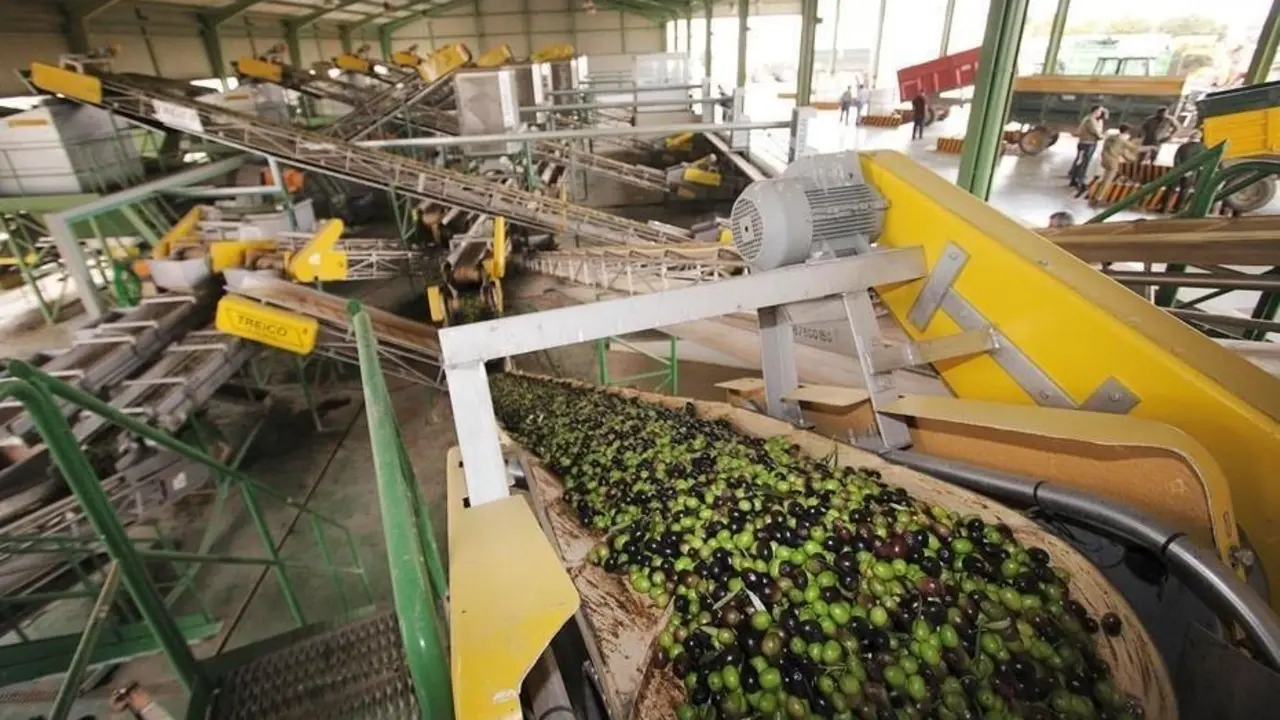 almazara en pleno proceso de producci&oacute;n del aceite de oliva. - VM