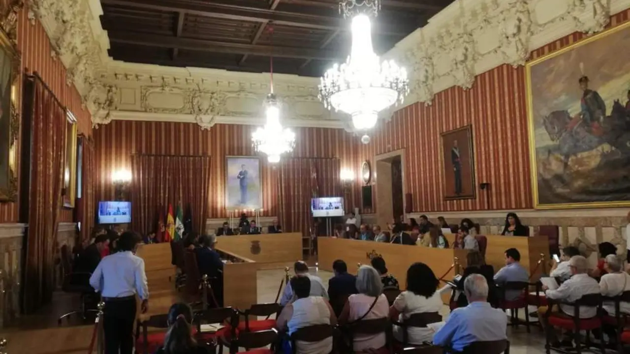 Un momento de la sesi&oacute;n plenaria. - CM