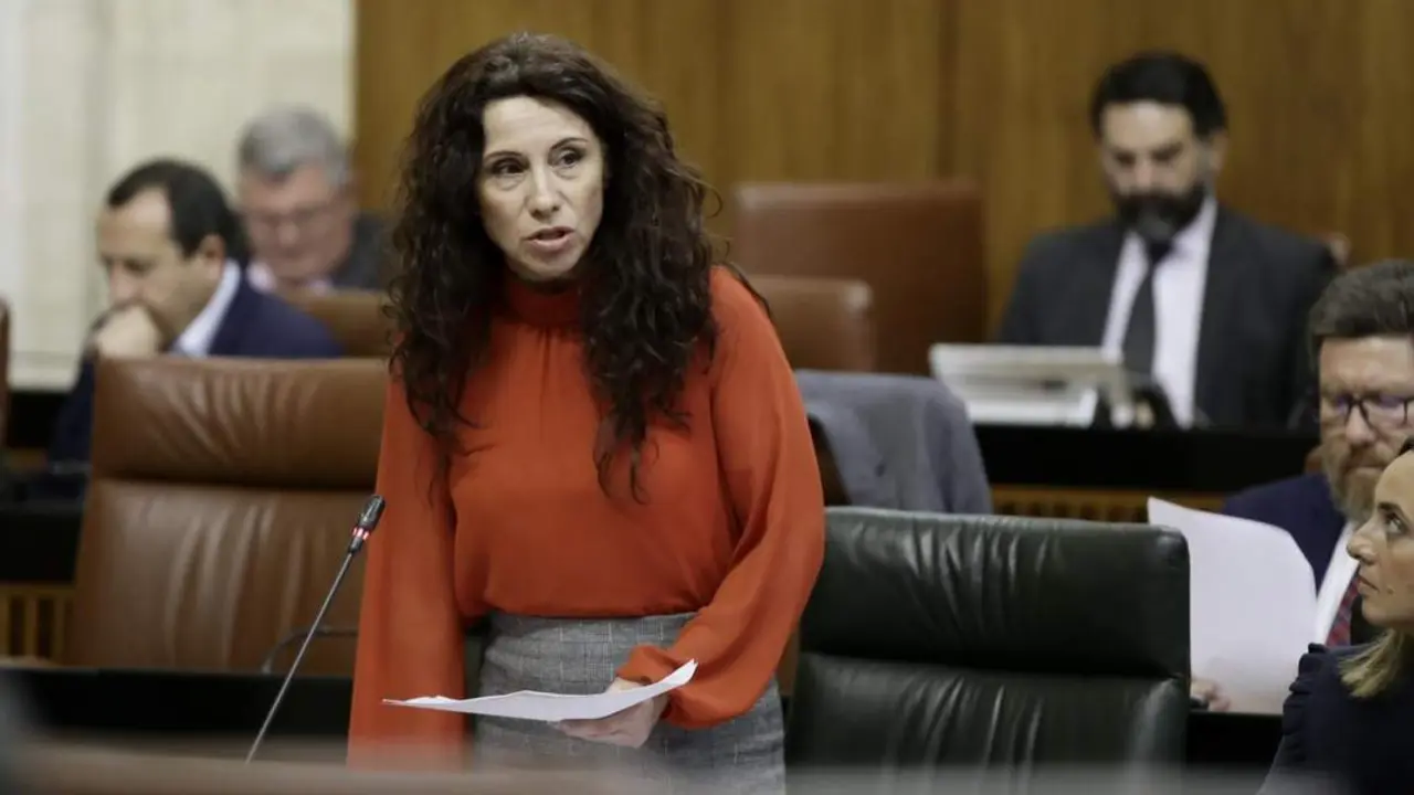 La consejera de Igualdad, Roc&iacute;o Ruiz. - Junta
