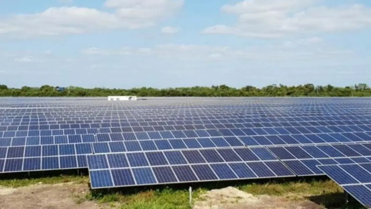 Placas solares en una planta fotovoltaica. - VS