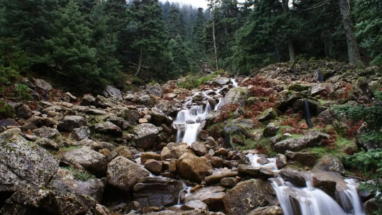Sierra Bermeja - ai