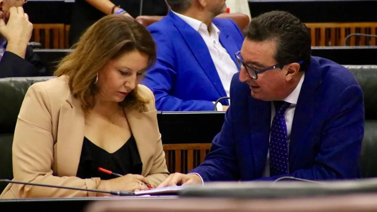 Gonz&aacute;lez junto a la consejera Crespo en el Parlamento. - VH