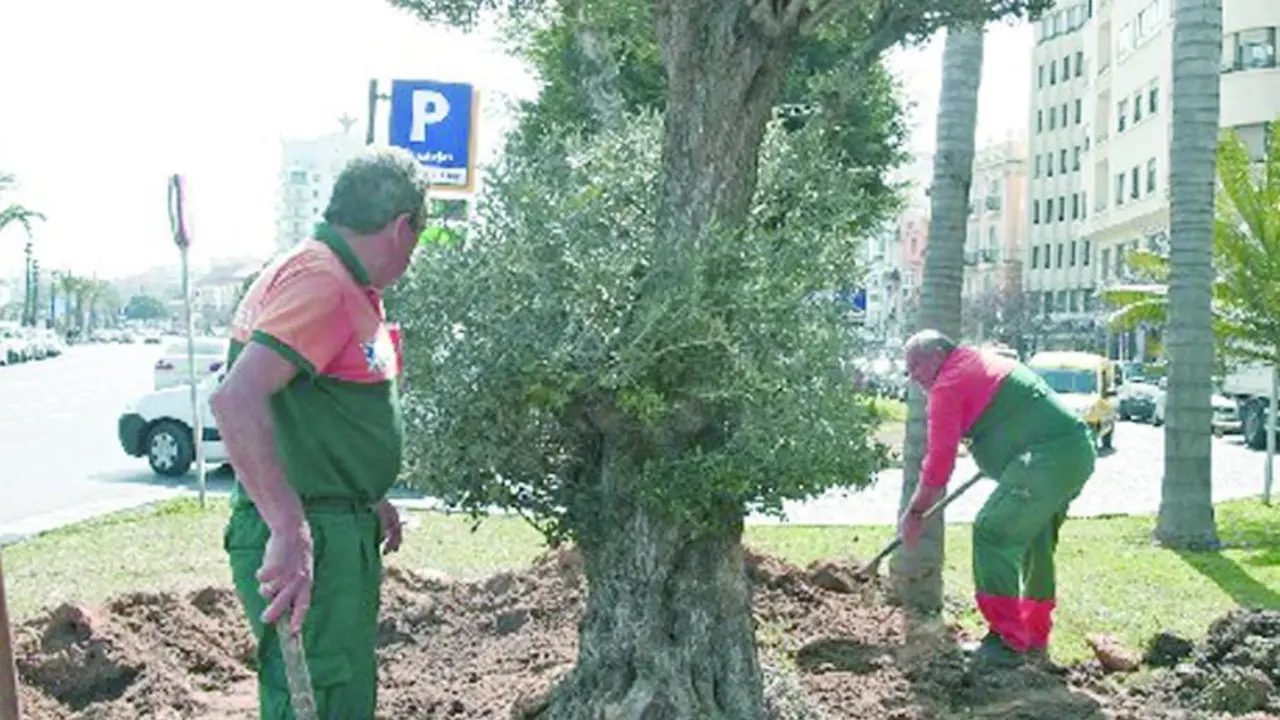 Trabajadores de parques y jardines.  - MF