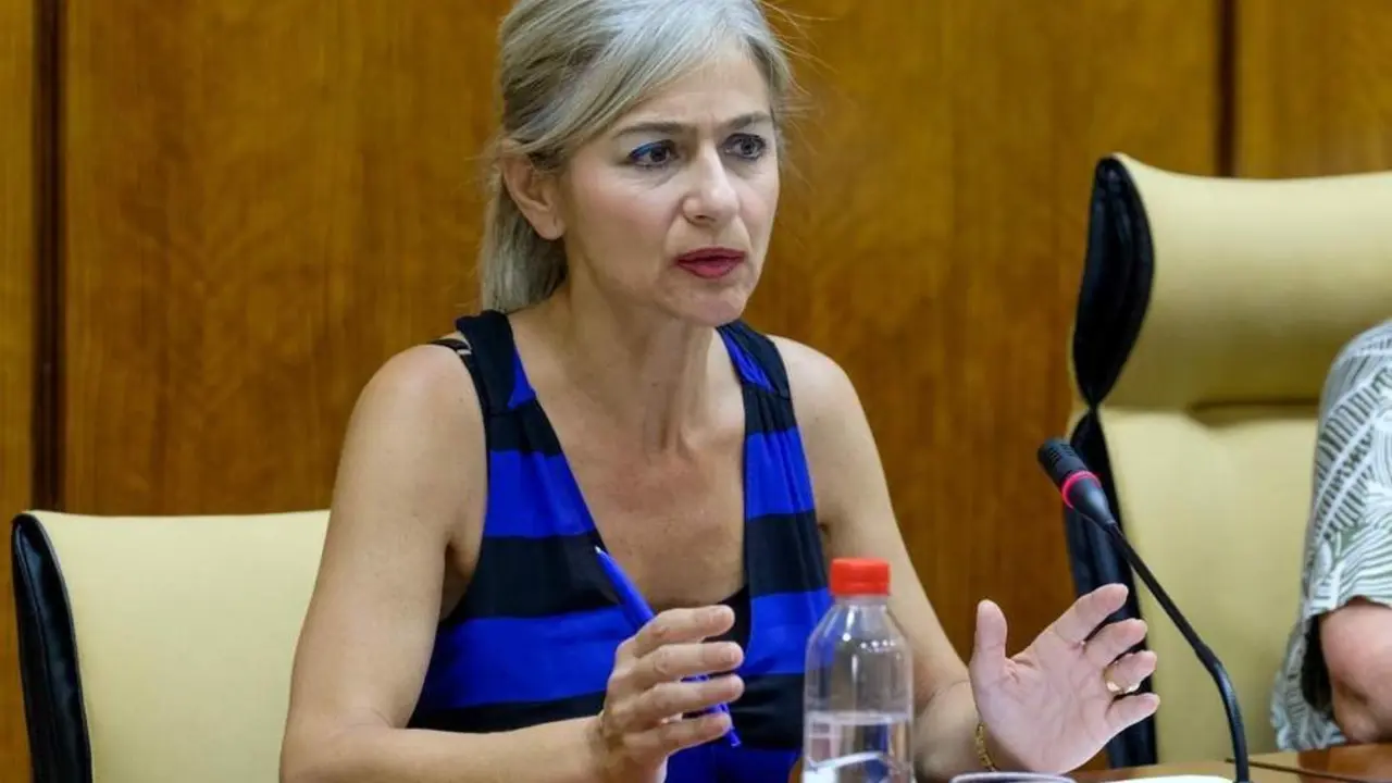 Comparecencia de Patricia del Pozo. - VM