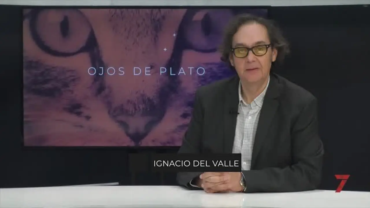 Ojos de plato. Pura inquietud