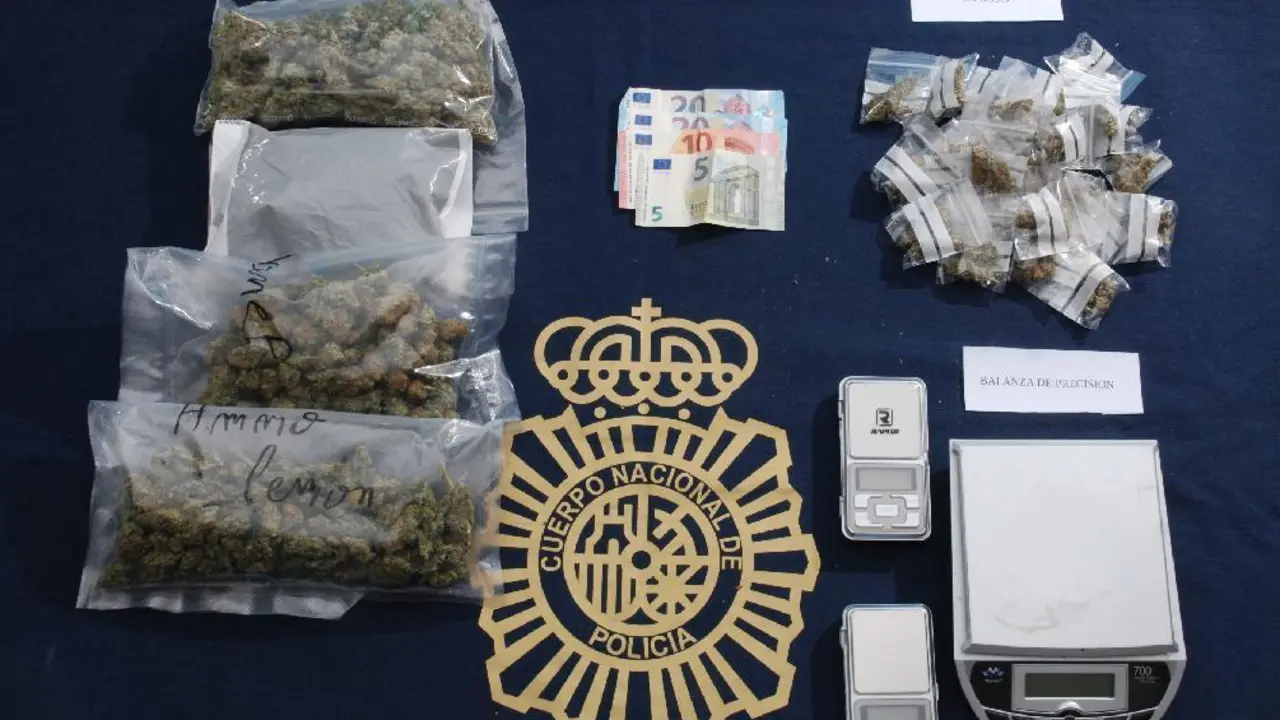 Material incautado por la polic&iacute;a. - vm