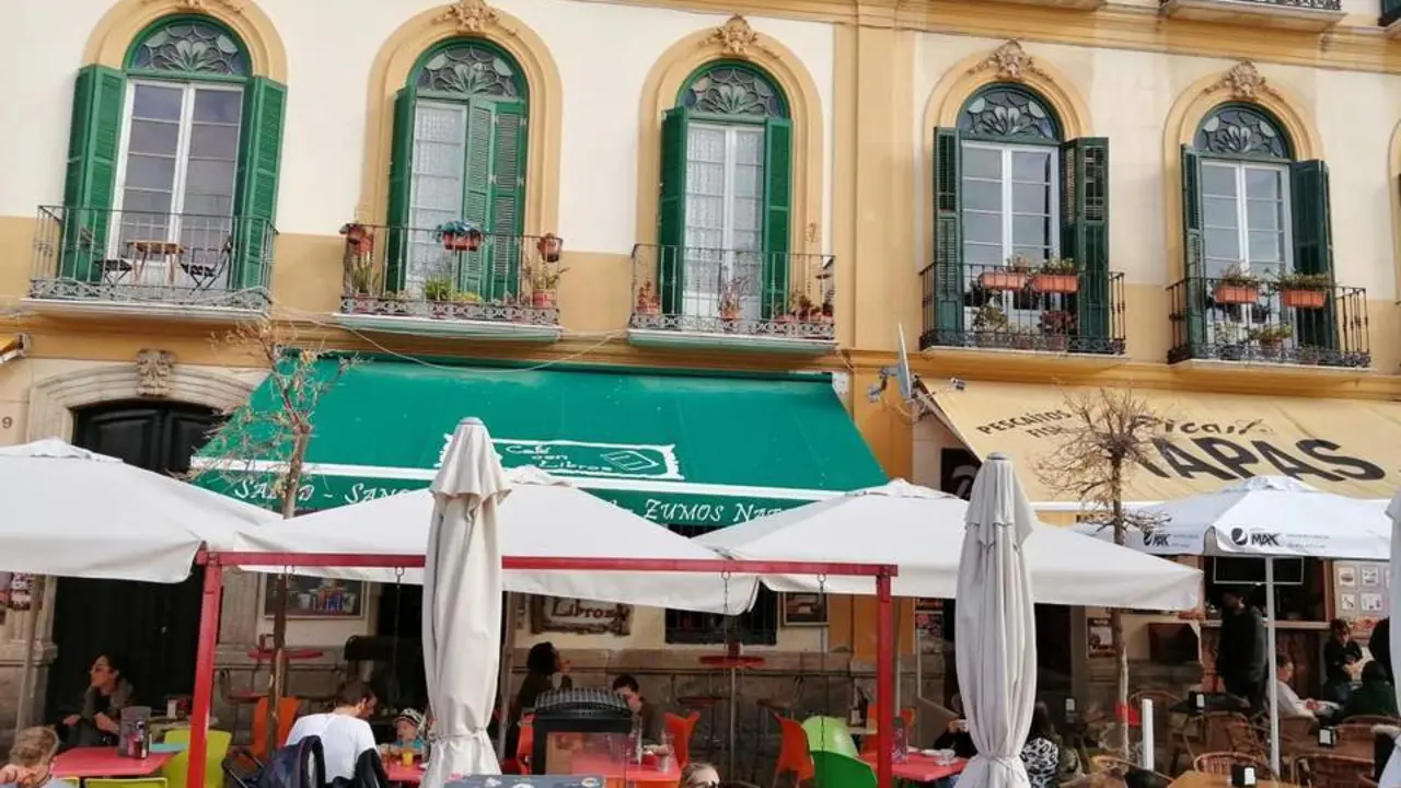 Seis meses despu&eacute;s los &aacute;rboles de la Merced se siguen muriendo