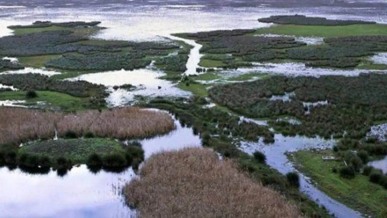 DO&Ntilde;ANA. - EFE