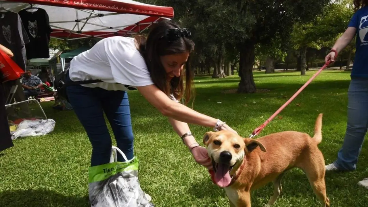 Mascota. - Europa Press