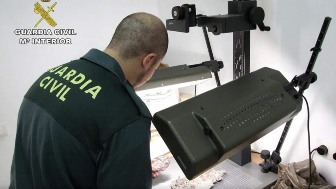 Guardia Civil. - Vivs